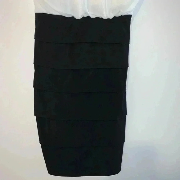 Sweet Storm Pleated Skirt Sheer Top Dress - Picture 4 of 6